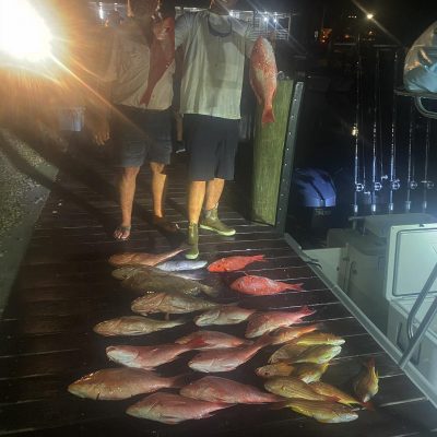 naples night time snapper fishing charter 4